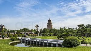2026世界杯官网 如皋绿化市容林业网